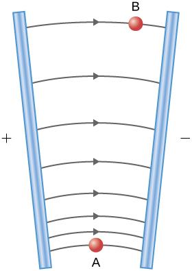 The electric field lines originate on the positive plate, and terminate on the negative plate; the field lines are closer together where the plates are closer together.