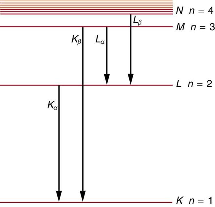 Different energy levels are shown in the form of horizontal lines. The line at the bottom shows the energy level for n is equal to one for the K shell. At a distance above this line, another horizontal line shows the energy level for n is equal to two for the shell L. Similarly, other lines are shown for the shells M and N. As we move from bottom to the top, the distance between the lines decreases, and near the end a few lines are shown very close to each other. Each level is labeled according to the cha
