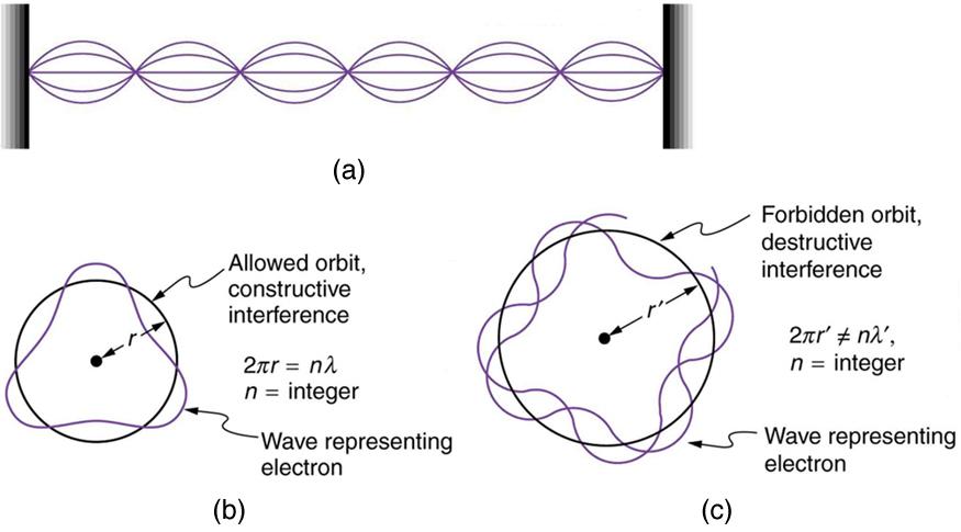 Figure a shows a string tied between two fixed supports. The string is being vibrated, which generates waves on the string. Figure b shows a circular orbit of radius r and a triangular shaped wave representing an electron. The condition for constructive interference and an allowed orbit given as two pi r is equal to n times lambda where n is an integer. Figure c shows a circular orbit of radius r prime and an irregular shaped wave representing an electron. The condition for destructive interference and a 
