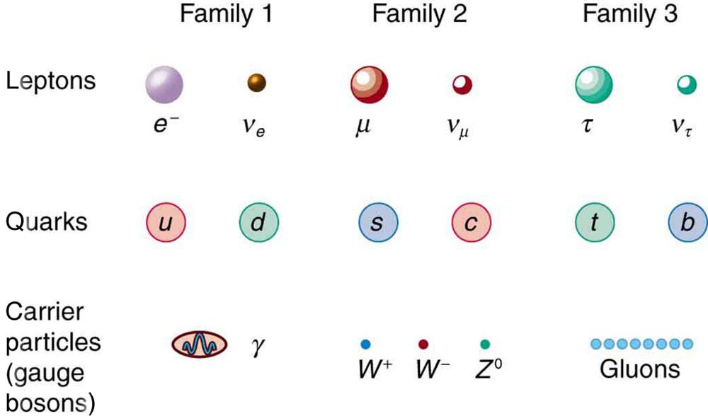 This figure shows three types of particles arranged in three rows. In the top row are leptons, in the middle row are quarks, and in the bottom row are carrier particles. The rows are divided into three columns, with the columns labeled family one, family two, and family three, from left to right. In family one are the electron and electron neutrino, the up and down quarks, and the photon and upsilon. In family two are the muon and muon neutrino, the strange and charmed quarks, and the W plus, W minus, and