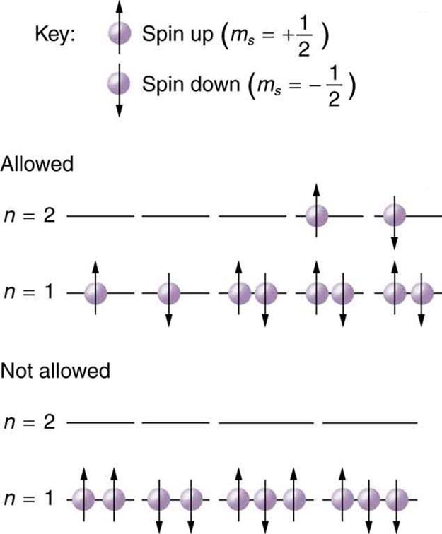 The figure here shows configuration of electrons. At the top, the key shows two purple balls, which depict electrons. The upward directed arrow on the first ball or electron shows its spin is plus one half, and the downward arrow on the second electron shows the opposite spin that is minus one half. Two other sections show the electronic configurations of electrons for two levels, n equal to one and n equal to two. One section shows the allowed configurations of the electron in the n is equal to one and t