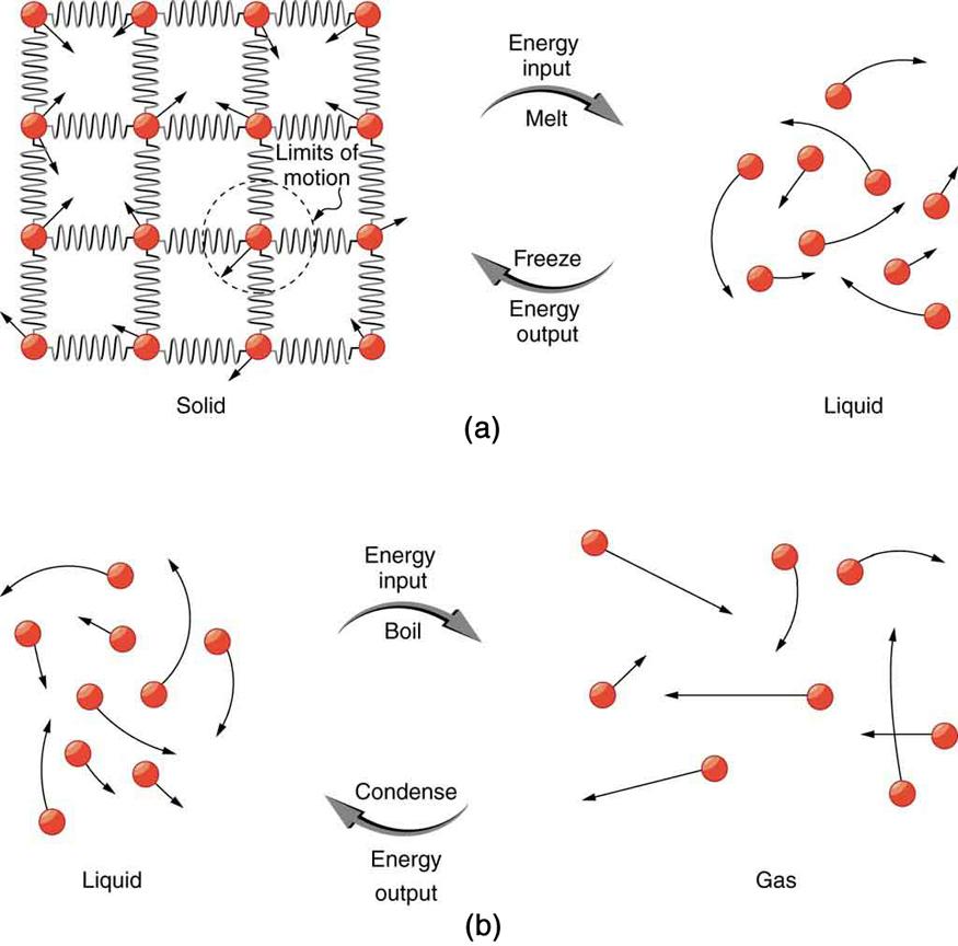 Figure a shows a four by four square lattice object labeled solid. The lattice is made of four rows of red spheres, with each row containing four spheres. The spheres are attached together horizontally and vertically by springs, defining vacant square spaces between the springs. A short arrow points radially outward from each sphere. The arrows on the different spheres point in different directions but are the same length, and one of them terminates at a dashed circle that is labeled limits of motion. To 