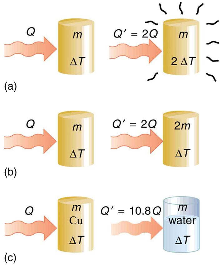 Figure a shows a copper-colored cylinder of mass m and temperature change delta T. The heat Q, shown as a wavy rightward horizontal arrow, is transferred to the cylinder from the left. To the right of this image is a similar image, except that the heat transferred Q prime is twice the heat Q. The temperature change of this second cylinder, which is also labeled m, is two delta T. This cylinder is surrounded by small black wavy lines radiating outward. Figure b shows the same two cylinders as in Figure a. 
