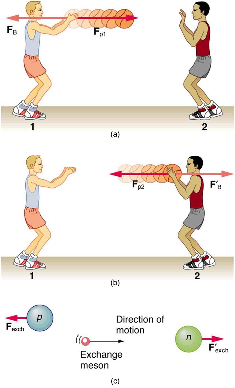 (a) Two persons throwing a basketball to each other. The person on the left is throwing the ball with some force F sub p one, represented by a vector pointing right, in the direction of the motion of the ball. A reaction force F sub B is shown on the person by a vector pointing left. (b) The person catches the ball, exerting a force F sub p two on the ball toward the left, shown by a vector F sub p two toward the left. A reaction force F prime sub B acts on the person, shown by a vector pointing toward ri
