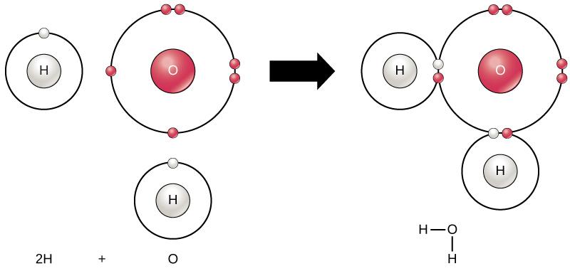 In the first image, an oxygen atom is shown with six valence electrons. Four of these valence electrons form pairs at the top and right sides of the valence shell. The other two electrons are alone on the bottom and left sides. A hydrogen atom sits next to each the lone electron of the oxygen. Each hydrogen has only one valence electron. An arrow indicates that a reaction takes place. After the reaction, in the second image, each unpaired electron in the oxygen joins an electron from one of the hydrogen a