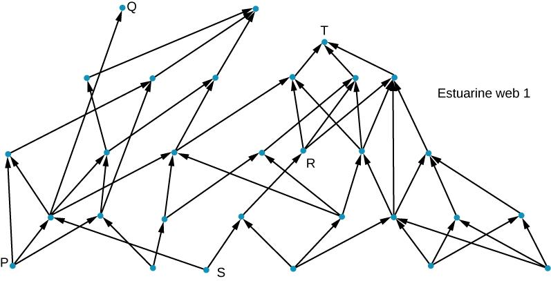 This figure shows four rows of blue dots represent organisms. Upward arrows connect organisms from the bottom level to the three upper levels. There are different letter points indicated, P and S are on the bottom level R is on the third, and T and Q are on the top most level.