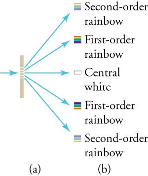 (a) Drawing of a vertical screen with five equally spaced horizontal slits that take up the middle third. A single blue arrow to the left of the barrier point to the right. Five blue arrows from the five slits point to the right, to five small diagrams arranged vertically. (b) Five small diagrams arranged vertically. The middle diagram is a white rectangle. It is labeled 'Central white.' Above it is a square with colored bands; from the top, they are red, yellow, green, blue, and purple. The square is