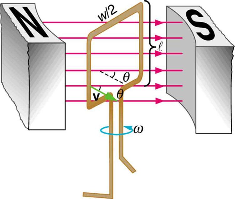 The figure shows a schematic diagram of an electric generator with a single rectangular coil. The rotating rectangular coil is placed between the two poles of a permanent magnet shown as two rectangular blocks curved on side facing the coil. The magnetic field B is shown pointing from the North to the South Pole. The North Pole is on the left and the South Pole is to the right and hence the direction of field is from left to right. The angular velocity of the coil is given as omega. The velocity vector v 
