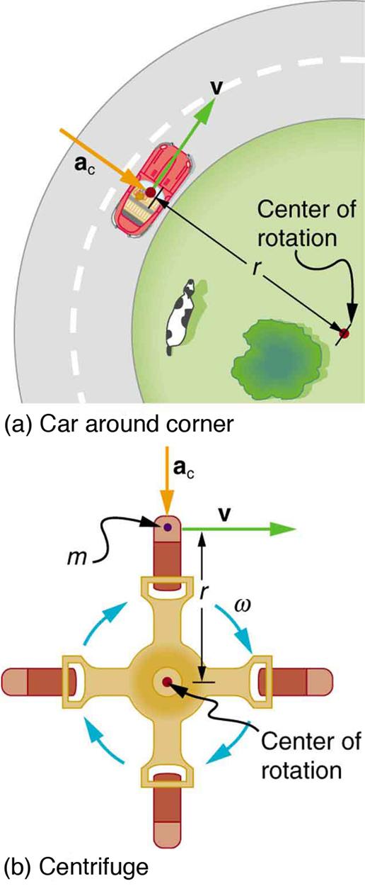In figure a, a car shown from top is running on a circular road around a circular path. The center of the park is termed as the center of this circle and the distance from this point to the car is taken as radius r. The linear velocity is shown in perpendicular direction toward the front of the car, shown as v the centripetal acceleration is shown with an arrow pointed towards the center of rotation. In figure b, a centrifuge is shown an object of mass m is rotating in it at a constant speed. The object i