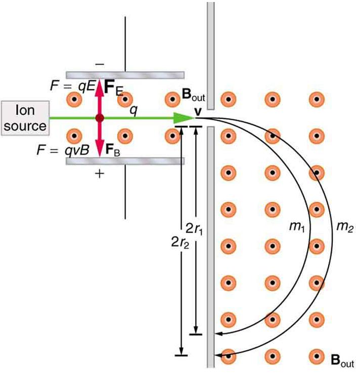 Diagram of a mass spectrometer. Ions travel to the right with velocity v from the ion source. Magnetic field lines come out of the page between two charged plates on either side of the ion beam. The electric force F equals q E acts on the ions in an upward direction while the magnetic force F equals q v B acts in a downward direction. The forces have the same magnitude and thus the ions travel in a straight line between the two plates. The ions then enter another region where the magnetic field lines come
