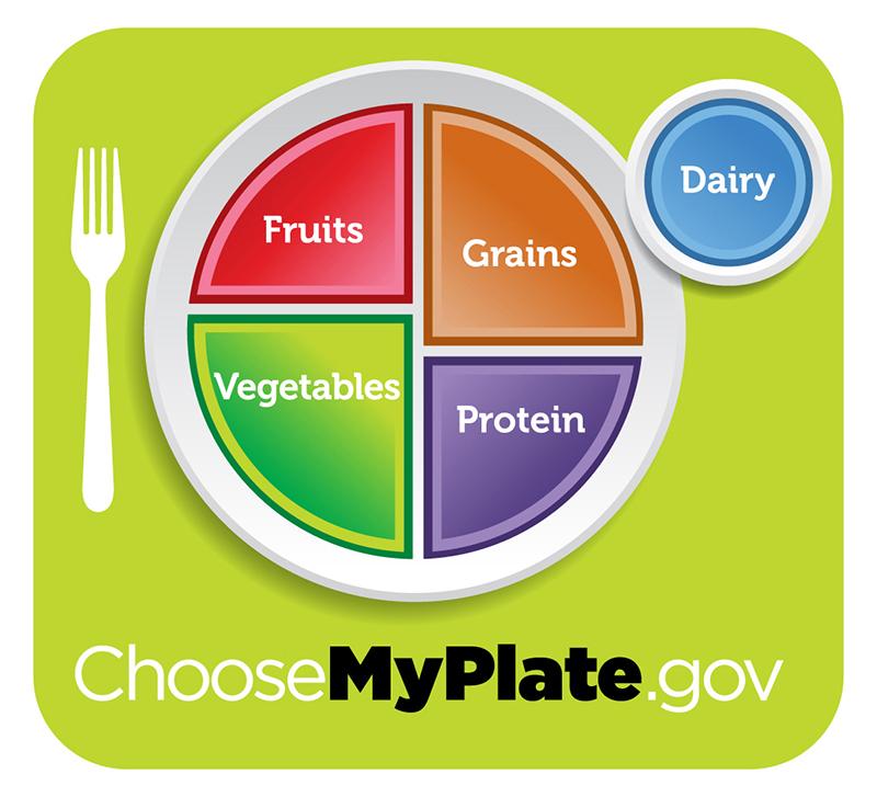 Healthy diet logo shows a plate divided into four sections, labeled 'fruits', 'vegetables' 'grains,' and 'protein'. The vegetables section is slightly larger than the other three. A circle to the side of the plate is labeled 'dairy'. Beneath the plate is the web address 'Choose My Plate dot gov'.