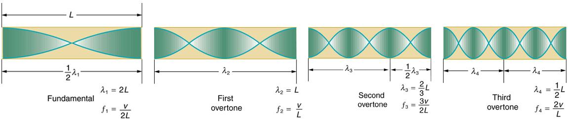 The resonant frequency waves in a tube open at both ends are shown. There are a set of four images. The first image shows a tube of length L marked fundamental having half a wave. The maxima of the vibrations are on both the open ends of the tube. The second image shows a tube of length L marked first over tone having a full wave. The maxima of the vibrations are on both the open ends of the tube. The third image shows a tube of length L marked second over tone having a full wave and a half. The maxima of