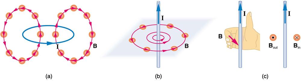 Figure a: magnetic field of a circular current loop with a current moving counter-clockwise. The field lines are also roughly circular, running up through the center of the current loop, and back down outside the loop. Figure b: a straight wire with a current running straight up. The magnetic field lines circle the wire in a counter-clockwise direction. Figure c: a right hand with the thumb pointing up, parallel to a wire with the current running upward. The figures of the hand curl around the wire in the