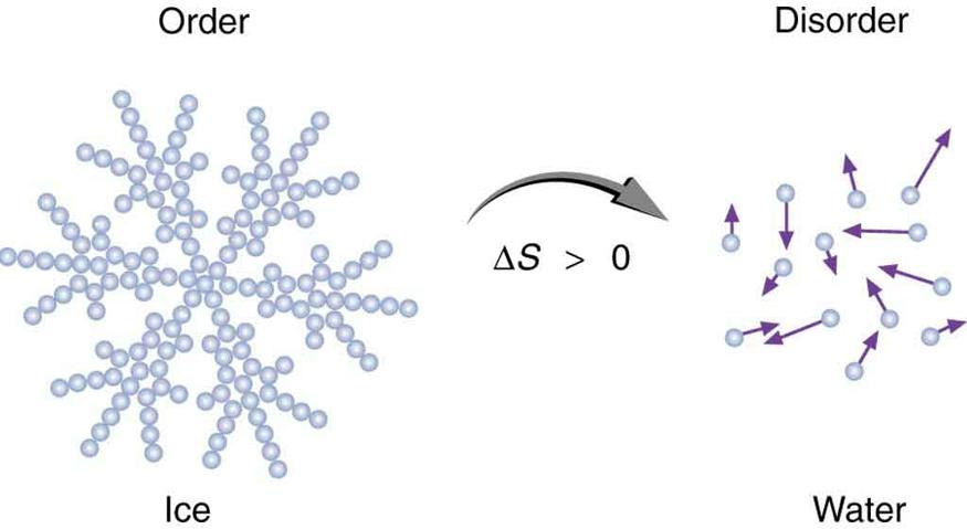 The diagram has two images. The first image shows molecules of ice. They are represented as tiny spheres joined to form a floral pattern. The system is shown as ordered. The second image shows what happens when ice melts. The change in entropy delta S is marked between the two images shown by an arrow pointing from first image toward the second image with change in entropy delta S shown greater than zero. The second image represents water shown as tiny spheres moving in a random state. The system is marke