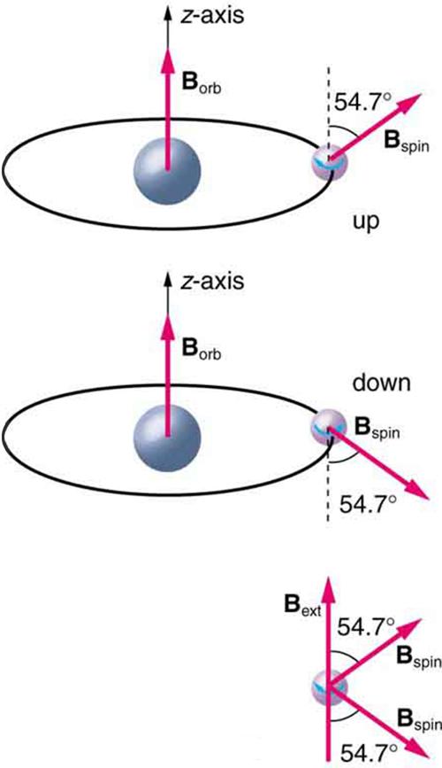 The image shows two cases of intrinsic magnetic field of an electron due to its spin. In the first case, circular orbit is shown with external magnetic field in the vertical direction and the direction of the intrinsic magnetic field of electron due to its spin is upwards at an angle of fifty four point seven degrees with the vertical axis. In the second case, circular orbit is shown with external magnetic field in the vertical direction and the direction of the intrinsic magnetic field of electron due to