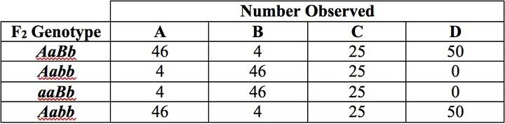 This table is titled Number Observed. It has six rows and five columns. The first row is a header row and it labels the table Number Observed from columns two to five. The second row is also a header row and it labels each column. At the top of the first column is a blank space. Underneath this blank space is the first column header F 2 Genotype. The second column header is A. The third column header is B. The fourth column header is C. The fifth column header is D. Under the first column header, F 2 Geno