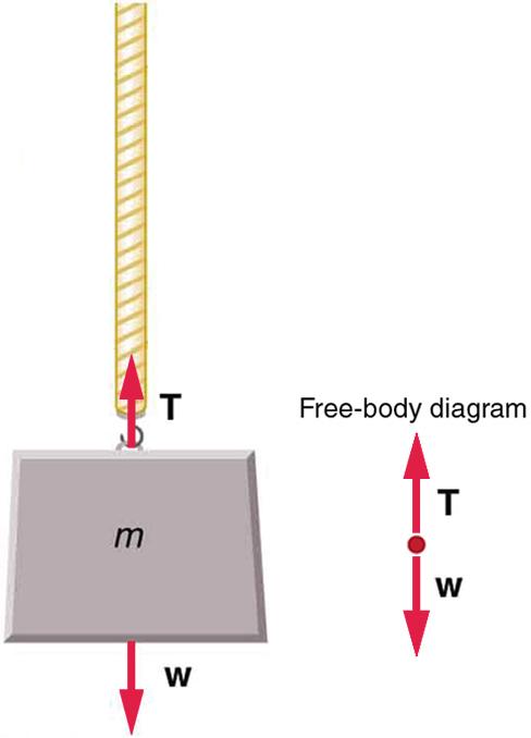 An object labeled m for mass is attached to a rope. A force vector labeled T for tension is pointing upward from the object and a force vector labeled W for weight of the object is pointing downward from the object. A free body diagram illustrates the T and W force vectors.