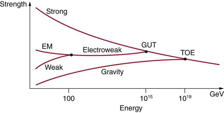 The figure shows a graph with the strength of four basics forces plotted along the y axis and energy plotted along the x axis in giga electron volts. Near zero giga electron volts, the difference in forces is large. Gravity is the weakest force, followed by the weak force, then the electromagnetic force, and finally the strong force is the strongest. At about one hundred giga electron volts, the curves for the electromagnetic and weak force combine to become the electroweak force, but gravity remains weak