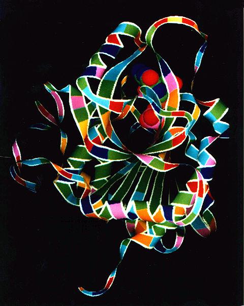 480px-Purine_Nucleoside_Phosphorylase