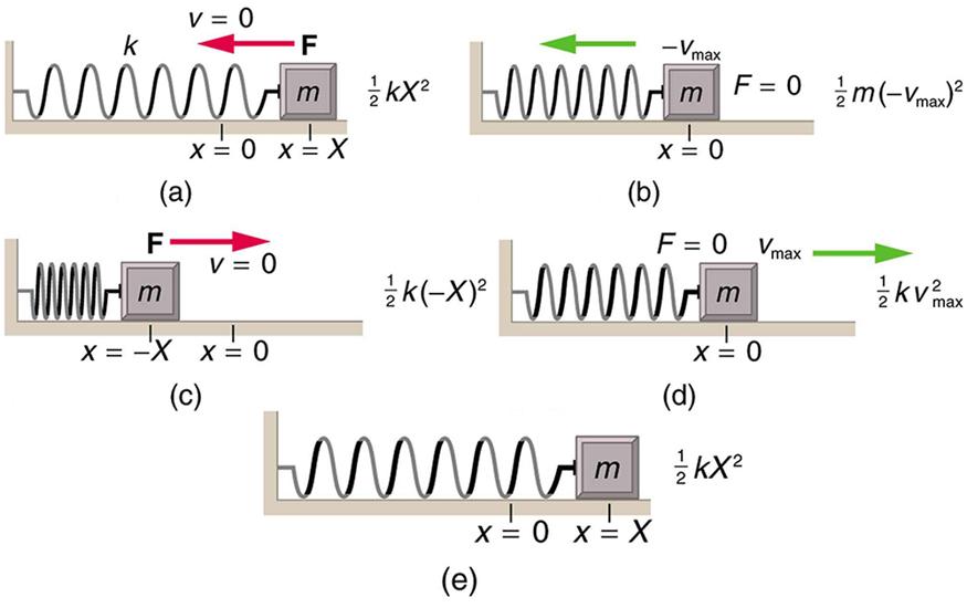 The given figure (a) shows a spring on a frictionless surface attached to a bar or wall from the left side and on the right side of the spring, there is an object attached with mass m. Its amplitude is given by X, and X is equal to zero at the equilibrium level. Force F is applied to it from the right side, represented by a red arrow pointing toward the left and velocity v is equal to zero. An arrow showing the direction of force is also given alongside this figure as well as with the other four figures. 