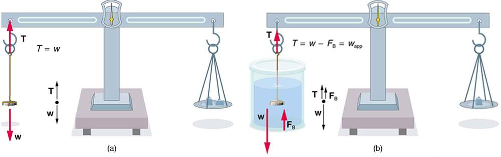 The density of a coin can be determined by measuring its weight in air and its weight submerged in a fluid of known density.