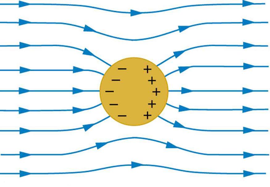 A spherical conductor is placed in the external electric field. The field lines are shown running from left to right. The field lines enter and leave the conductor at right angles. Negative charges accumulate on the left surface of the conductor and positive charges accumulate on the right surface of the conductor.