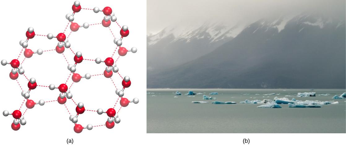 Ice floes float on ocean water near a mountain range that rises out of the water.