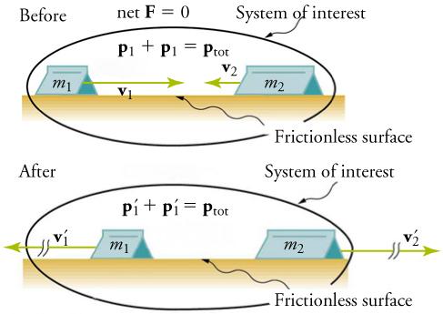 An illustration shows before and after diagrams of two carts moving toward each other on a frictionless surface. The cart on the left is labeled m one and the car on the right is labeled m two. Both diagrams are labeled System of Interest. In the before diagram, a velocity vector, v one, points from the cart on the left to the cart on the right. A second, shorter velocity vector, v two, points from the cart on the right to the cart on the left. Two equations are shown: p one plus p one equals p total and 