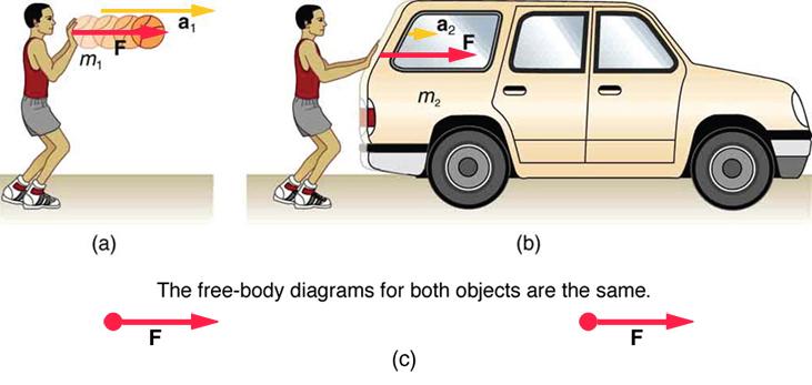 Three diagrams are shown: a, b, and c. Diagram a shows standing person facing to the right, pushing forward on a basketball. The basketball is labeled m one for mass one. A force vector is labeled F and is pointing to the right. An acceleration vector is labeled a one and is also pointing to the right. Diagram b shows the same person in the same standing position, pushing forward with the same force, but on a car. The car is labeled m two for mass two. A force vector is labeled F and is pointing to the ri