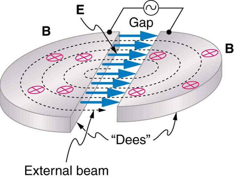 The image shows a disc-shaped cyclotron consisting of two horizontal semicircular plates that are separated by a gap. An alternating voltage is put across the gap, and an electric field is shown going from the left semicircular plate across the gap to the right semicircular plate. A magnetic field pierces the plates from top to bottom. A dotted line labeled external beam spirals outward from the center of the cyclotron, making four revolutions inside the semicircular plates before reaching the outer edge 