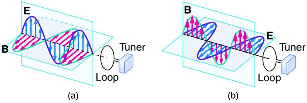 Part a of the diagram shows an electromagnetic wave approaching a receiver loop connected to a tuner. The wave is shown with the variation of two components E and B. E is a sine wave in vertical plane with small arrows showing the vibrations of particles in the plane. B is a sine wave in a horizontal plane perpendicular to the E wave. The B wave has arrows to show the vibrations of particles in the plane. The waves are shown intersecting each other at the junction of the planes because E and B are perpend