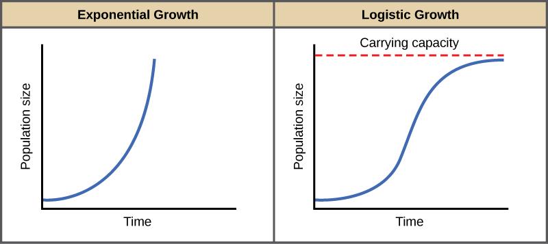 Both graphs (a) and (b) plot population size versus time. In graph (a), exponential growth results in a curve that gets increasingly steep, resulting in a J-shape. In graph (b), logistic growth results in a curve that gets increasingly steep, then levels off when the carrying capacity is reached, resulting in an S-shape
