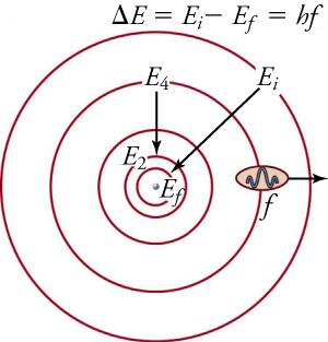 The figure shows Bohr’s atom model with circular electron orbits having distinct quantized energy levels. The figure also shows that energy is absorbed or emitted by an electron when it moves from one orbit (level) to another.