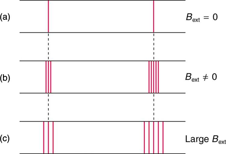 The figure shows the effect of magnetic field on spectral lines. In the first case, two spectral lines are shown when there is no external magnetic field. In the second case, when magnetic field is applied, the spectral lines split into several lines; the line on the left splits into three lines. The line on the right splits into five. In the third case, the magnetic field is large. The left line is again split into three lines and the right into five, but the split lines are farther apart than they are w