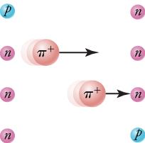 This figure shows a sequence of four images in four rows. In the first row, a proton and a neutron are pictured. The proton is on the left and the neutron is on the right. In the second row, a pion leaves the proton and travels toward the neutron, as represented by an arrow. As a result, the proton is now a neutron. In the third row, the pion is still traveling toward the neutron on the right. This image consists of the pion and two neutrons. In the fourth row, a proton is on the right with a neutron on t