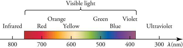 This diagram focuses on the visible section of the electromagnetic spectrum. A horizontal arrow represents wavelengths of light decreasing from left to right. The arrow is calibrated with numbers ranging from 800 on the left to 300 on the right, and the line is labeled with the Greek letter lambda, followed by the letters n m in parentheses. Above the arrow is a colored band stretching from about 760 up to about 420. The band, labeled as 'Visible light', shows colors labeled as 'Red', 'Orange'