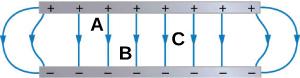 There is a gray long thin rectangle at the top of the figure with black pluses. The same size gray long thin rectangle is at the bottom of the figure with minuses below the positives. There are blue lines with an arrow in the middle connecting each + to each -. The two arrows on the left start at the same first + are curved toward the left and hit the first bottom -. The two lines on the right are curved toward the right and connect the last + and -. The six center arrows are vertical. Between line three 