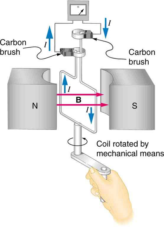 The figure shows a schematic diagram of an electric generator. It consists of a rotating rectangular coil placed between the two poles of a permanent magnet shown as two rectangular blocks curved on side facing the coil. The magnetic field B is shown pointing from the North to the South Pole. The two ends of this coil are connected to the two small rings. The two conducting carbon brushes are kept pressed separately on both the rings. The coil is attached to an axle with a handle at the other end. The axl