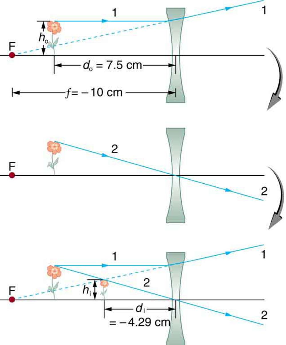 Figure (a) shows an upright object placed at d sub o equals seven point five cm and in front of a concave lens of on its left side. Parallel ray 1 falls on the lens and gets refracted and dotted backwards to pass through point F on the left side. Figure (b) shows ray 2 going straight through the center of the lens.  Figure (c) combines both figures (a) and (b) and the dotted line and the solid line meet at a point on the left side of the lens forming a virtual image which is erect and diminished. Here h s