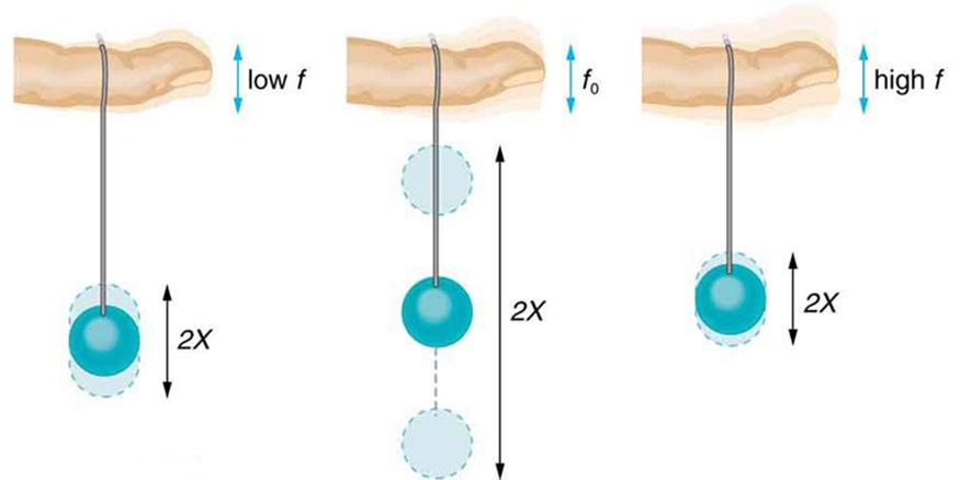 The given figure shows three pictures of a horizontal viewed single finger containing a string, suspended downward vertically, being tied to a paddle ball at its downward end. In the first figure the ball is stretching up and down very slowly having less displacement, the displacement shown in the figures as faded shades of the ball and is depicted as 2X. Whereas in the second figure the movement of the ball is highest, while in the third the movement is least. In all the three figures the ball is at its 