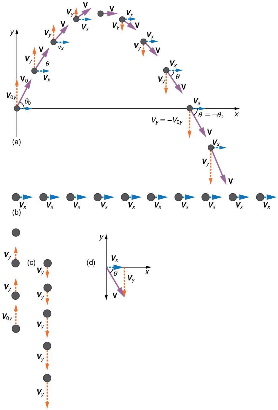 In part a the figure shows projectile motion of a ball with initial velocity of v zero at an angle of theta zero with the horizontal x axis. The horizontal component v x and the vertical component v y at various positions of ball in the projectile path is shown. In part b only the horizontal velocity component v sub x is shown whose magnitude is constant at various positions in the path. In part c only vertical velocity component v sub y is shown. The vertical velocity component v sub y is upwards till it