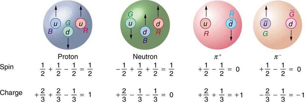 The figure shows four spheres that are labeled proton, neutron, positive pion, and negative pion. The proton sphere contains a blue up quark with spin up, a green down quark with spin down, and a red up quark with spin up. Below the figure are two equations. The upper equation is labeled spin and reads one half plus one half minus one half equals one half, and the lower equation is labeled charge and reads plus two thirds plus two thirds minus one third equals one. The neutron sphere contains a green up q