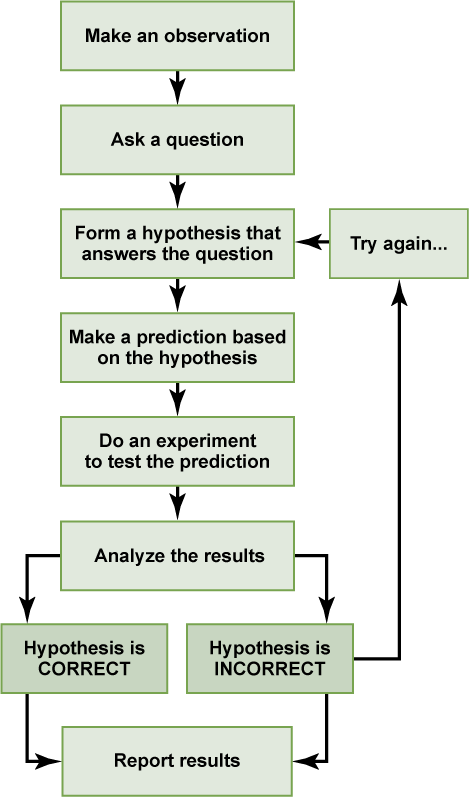 A flow chart shows the steps in the scientific method. In step 1, an observation is made. In step 2, a question is asked about the observation. In step 3, an answer to the question, called a hypothesis, is proposed. In step 4, a prediction is made based on the hypothesis. In step 5, an experiment is done to test the prediction. In step 6, the results are analyzed to determine whether or not the hypothesis is correct. If the hypothesis is incorrect, another hypothesis is made. In either case, the results a