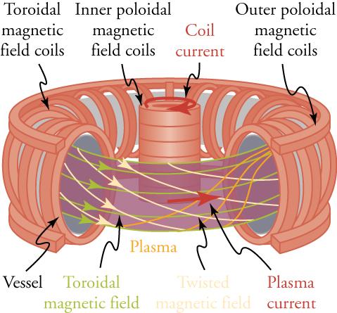 The figure shows parts of Tokamak confinement model.