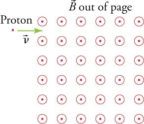 A proton dot enters (green arrow) a magnetic field (depicted as circles with dots).