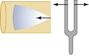 The vibration from a tuning fork sends a wave disturbance through the air down the tube.