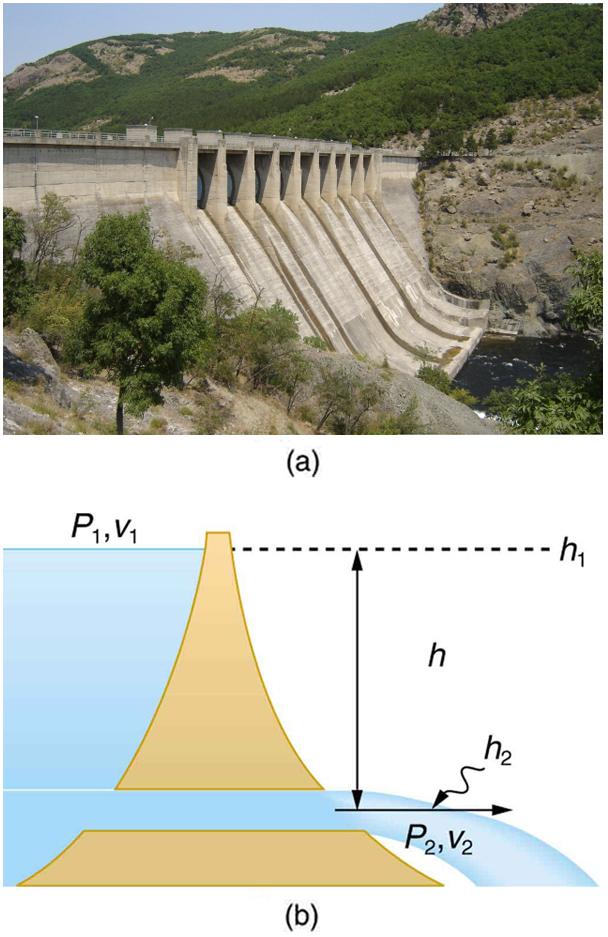 Part a of the figure shows a photograph of a dam with water gushing from a large tube at the base of a dam. Part b shows the schematic diagram for the flow of water in a reservoir. The reservoir is shown in the form of a triangular section with a horizontal opening along the base little near to the base. The water is shown to flow through the horizontal opening near the base. The height which it falls is shown as h two. The pressure and velocity of water at this point are P two and v two. The height to wh