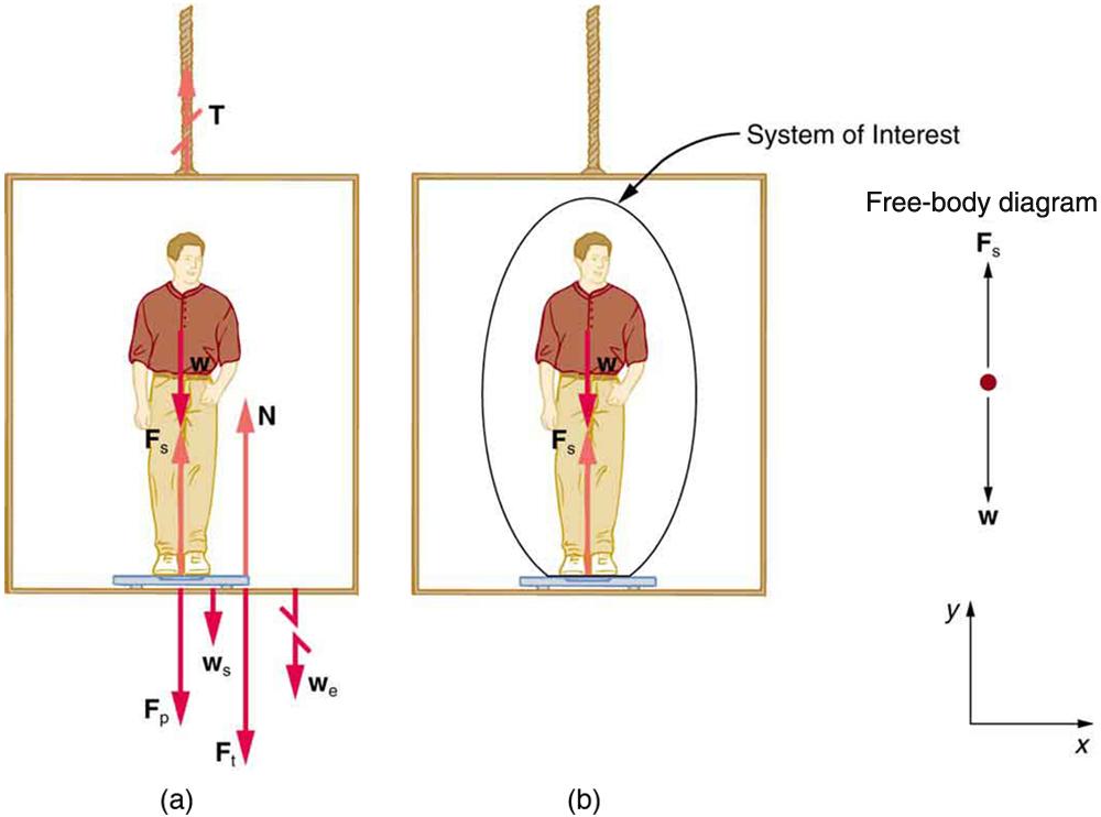 A person is standing on a bathroom scale in an elevator. His weight w is shown by an arrow pointing downward. F sub s is the force of the scale on the person, shown by a vector starting from his feet pointing vertically upward. W sub s is the weight of the scale pointing vertically downward. W sub e is the weight of the elevator, shown by the broken arrow pointing vertically downward. F sub p is the force of the person on the scale, acting vertically downward. F sub t is the force of the scale on the floo
