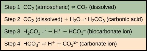 In step 1, atmospheric carbon dioxide dissolves in water. In step 2 dissolve carbon dioxide (CO2) reacts with water (H2O) to form carbonic acid (H2CO3). In step 3, carbonic acid dissociates into a proton (H plus) and a bicarbonate ion (HCO3 minus). In step 4 the bicarbonate ion dissociates into another proton and a carbonate ion (CO3 minus two).