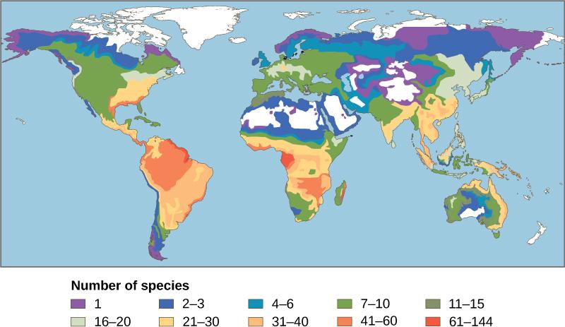 The number of amphibian species in different areas is specified on a world map. The greatest number of species, 61-144, are found in the Amazon region of South America and in parts of Africa. Between 21 and 60 species are found in other parts of South America and Africa, and in the eastern United States and Southeast Asia. Other parts of the world have between 1 and 20 amphibian species, with the fewest species occurring at northern and southern latitudes. Generally, more amphibian species are found in wa